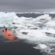 Ran, the unscrewed submarine that the scientists used, heading down into the depths under the Thwaites Glacier